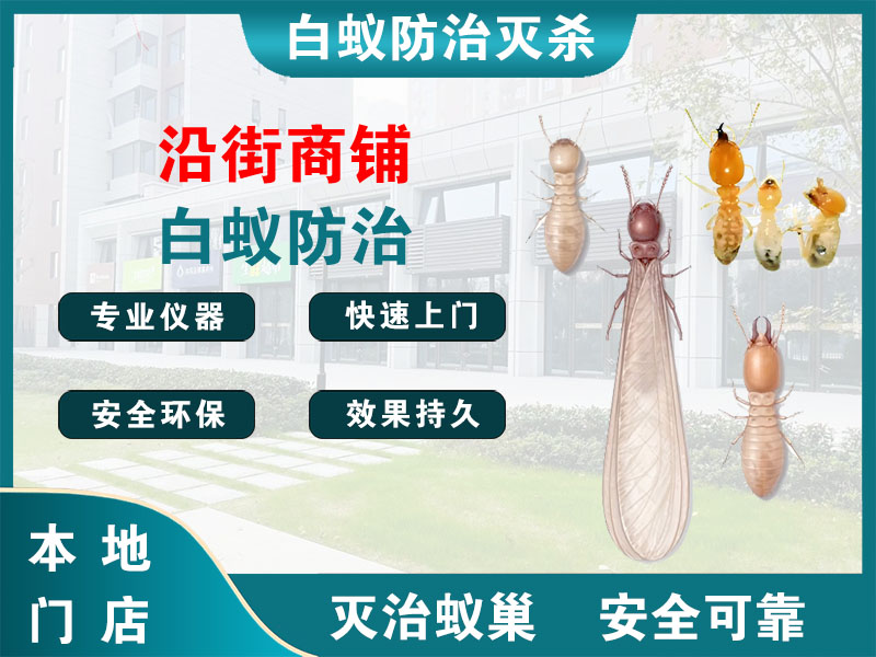 诸暨市沿街商铺白蚁防治