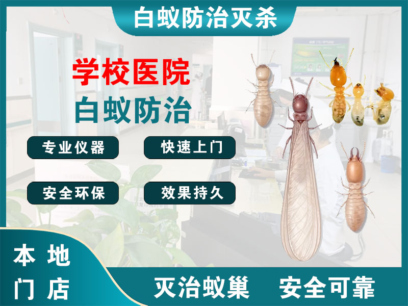 诸暨市学校医院白蚁防治
