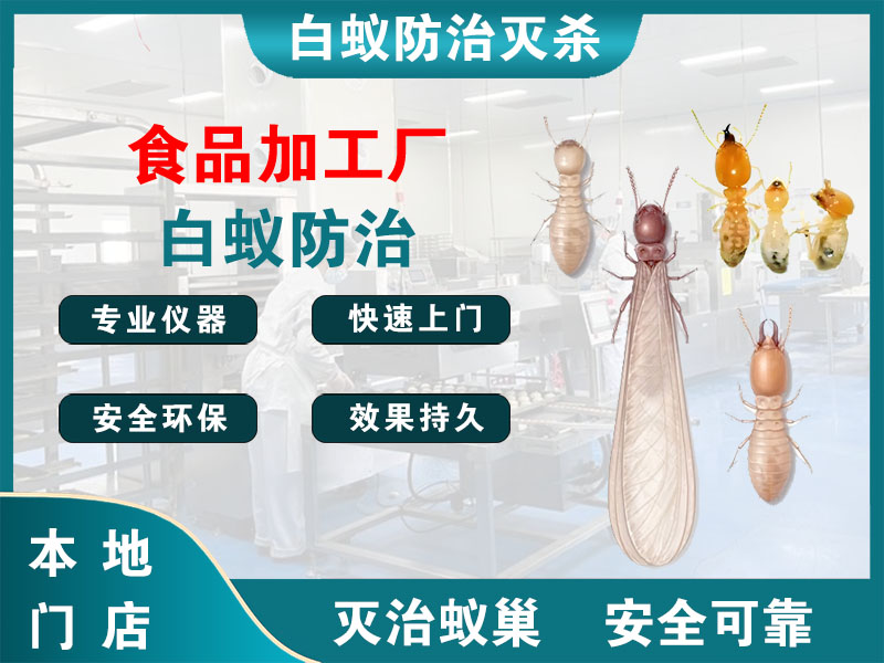 诸暨市食品加工厂白蚁防治