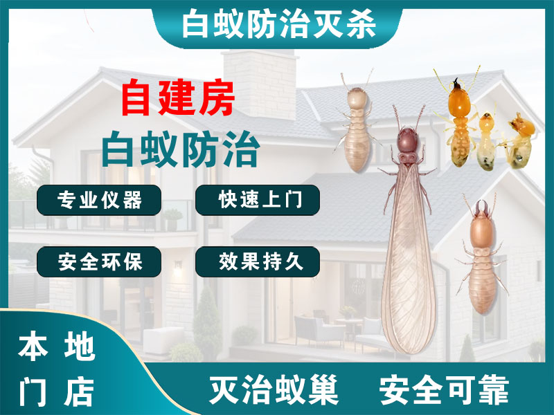 诸暨市自建房白蚁防治