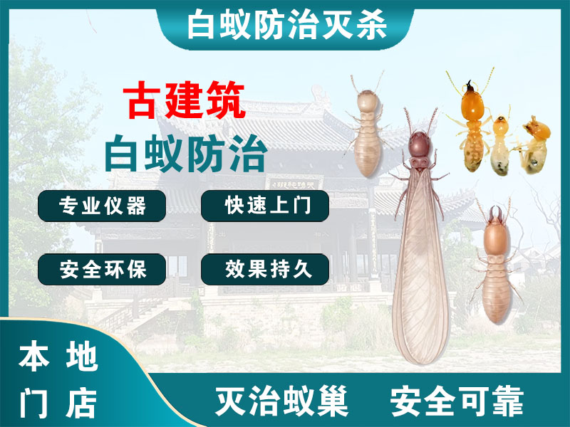 诸暨市古建筑白蚁防治
