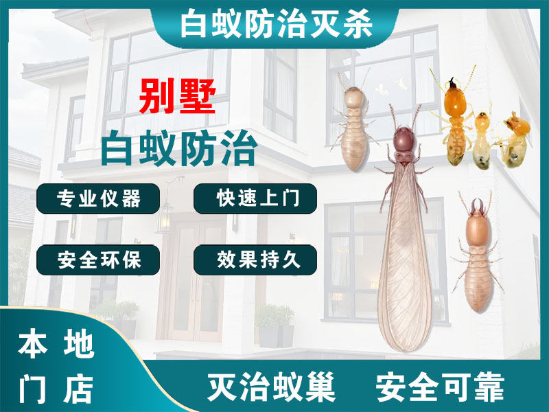 诸暨市别墅白蚁防治