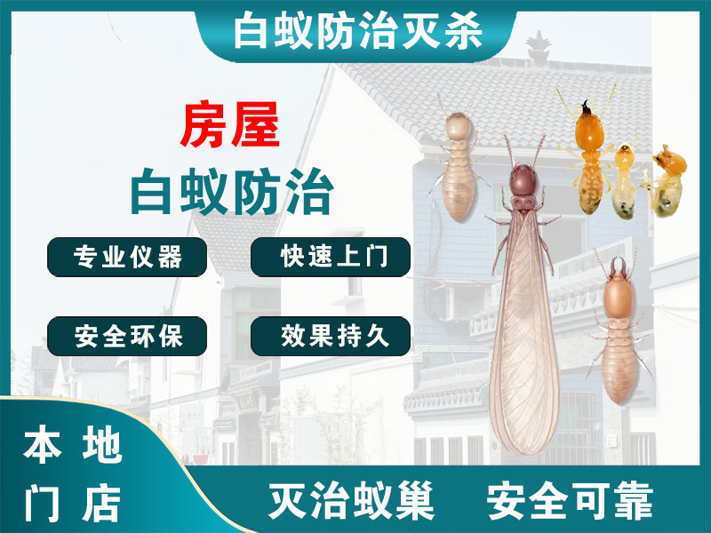 诸暨市房屋白蚁防治